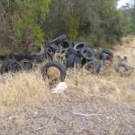 Solid waste removal